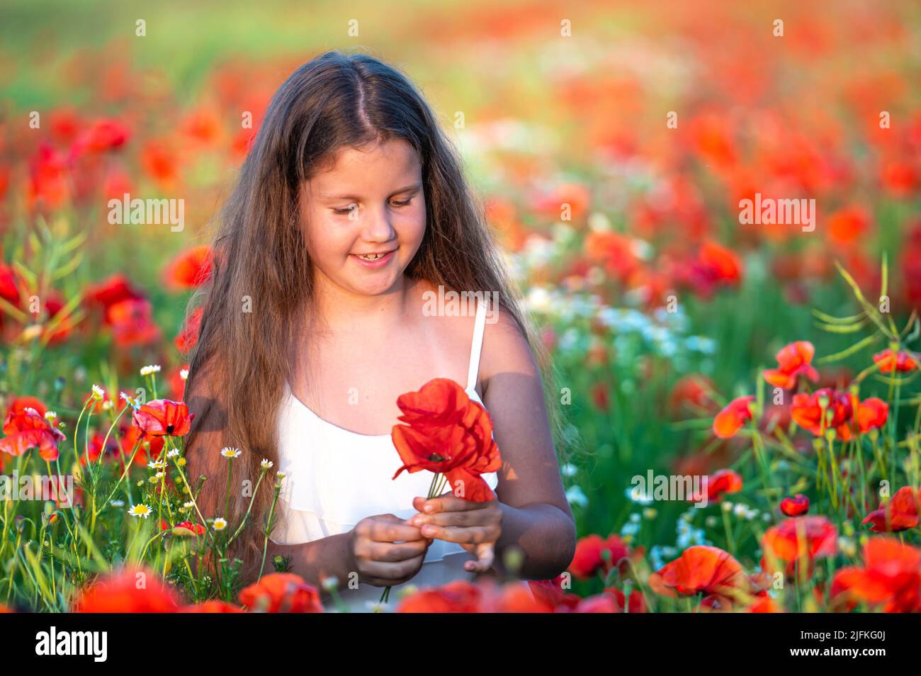 pretty little girl wearing white dress in summer blooming poppy field ...