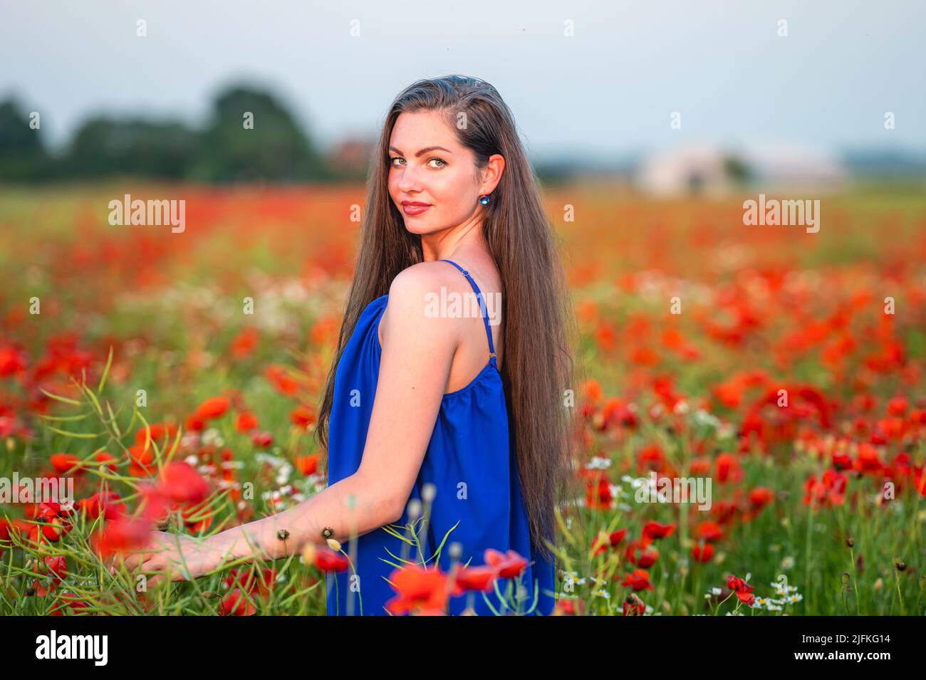 portrait of elegant young woman with long hair in poppy field in ...