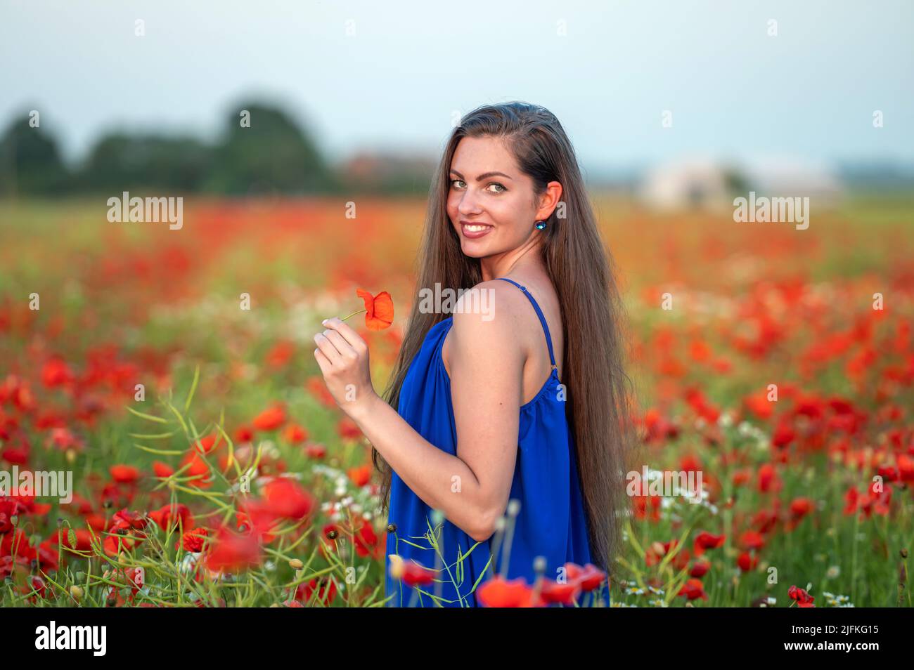 portrait of elegant young woman with long hair in poppy field in ...