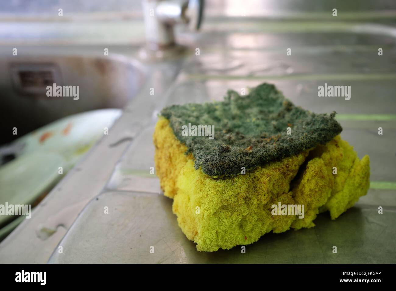 Selective focus of a worn out, stinky, dirty and moldy kitchen sponge