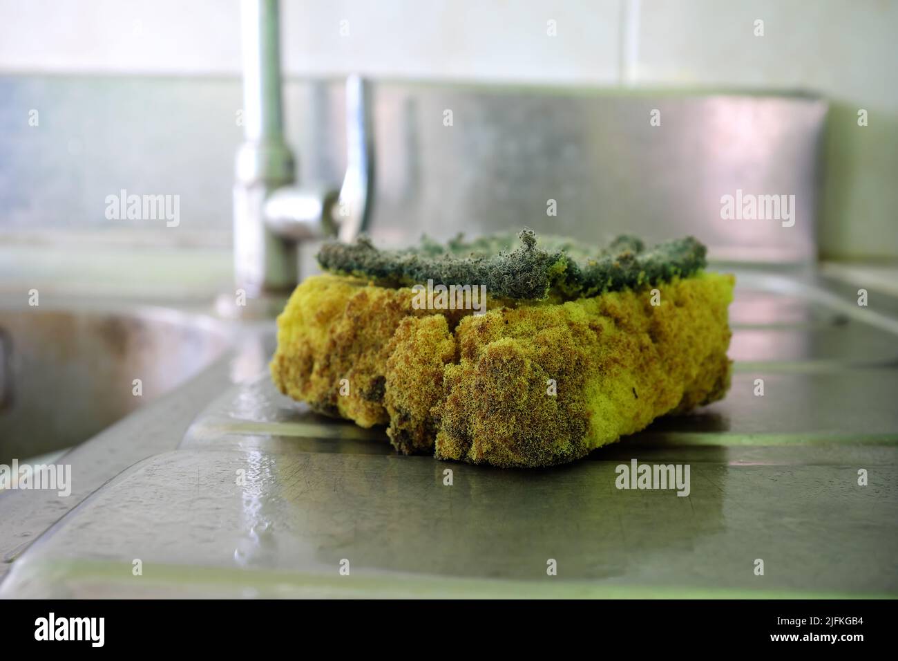 Selective focus of a worn out, stinky, dirty and moldy kitchen sponge