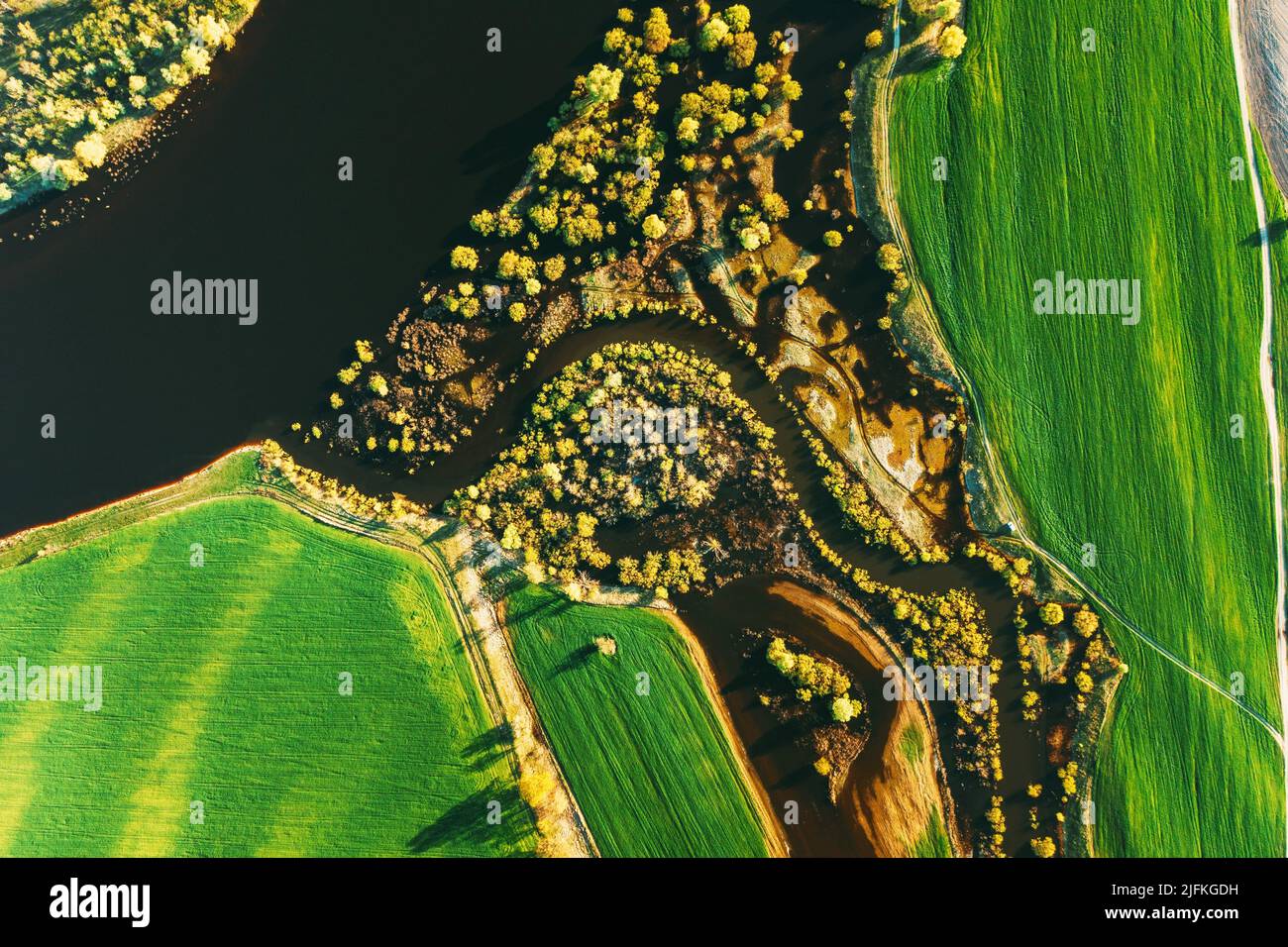 Birds eye view trees hi-res stock photography and images - Alamy