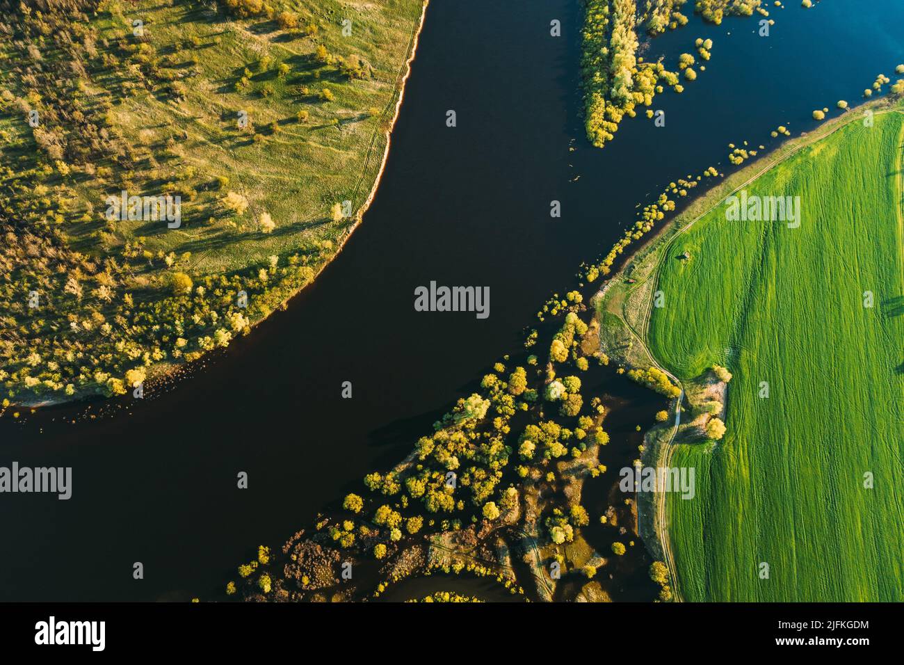 Birds eye view trees hi-res stock photography and images - Alamy