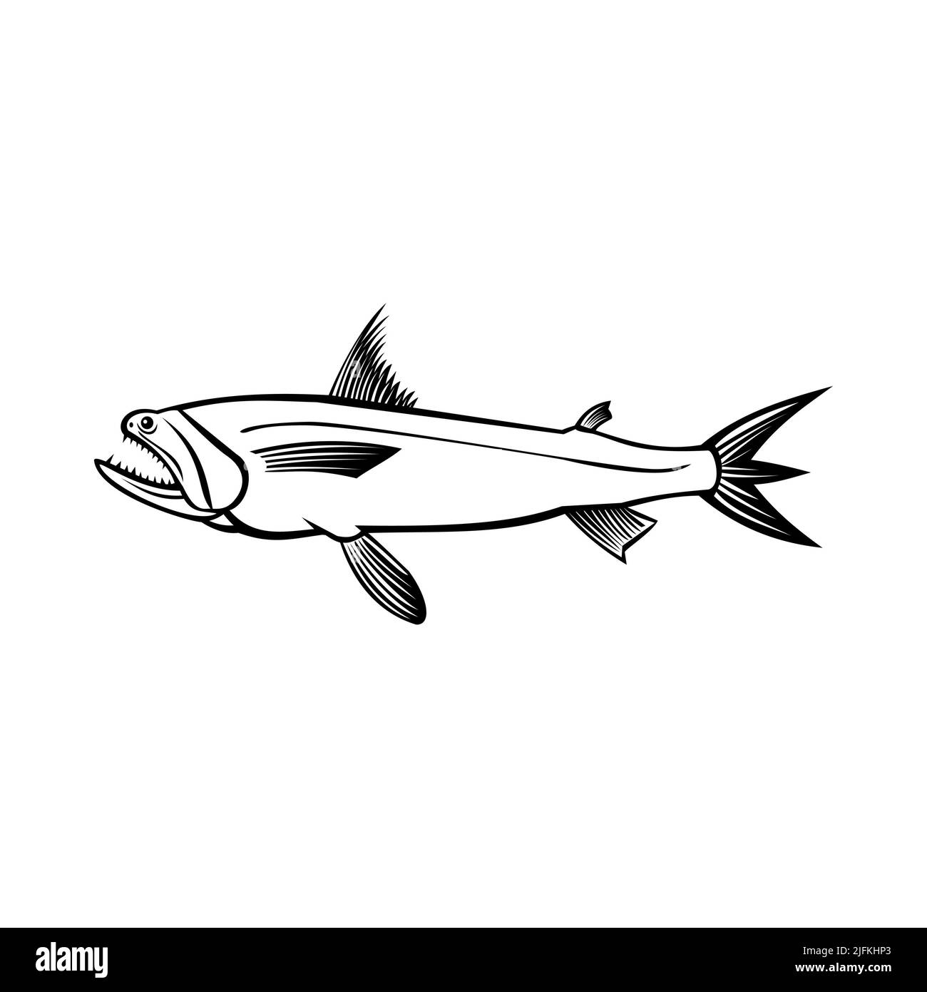 Bombay duck is a fish Black and White Stock Photos & Images - Alamy Bombay duck is a fish Black and White Stock Photos & Images - Alamy