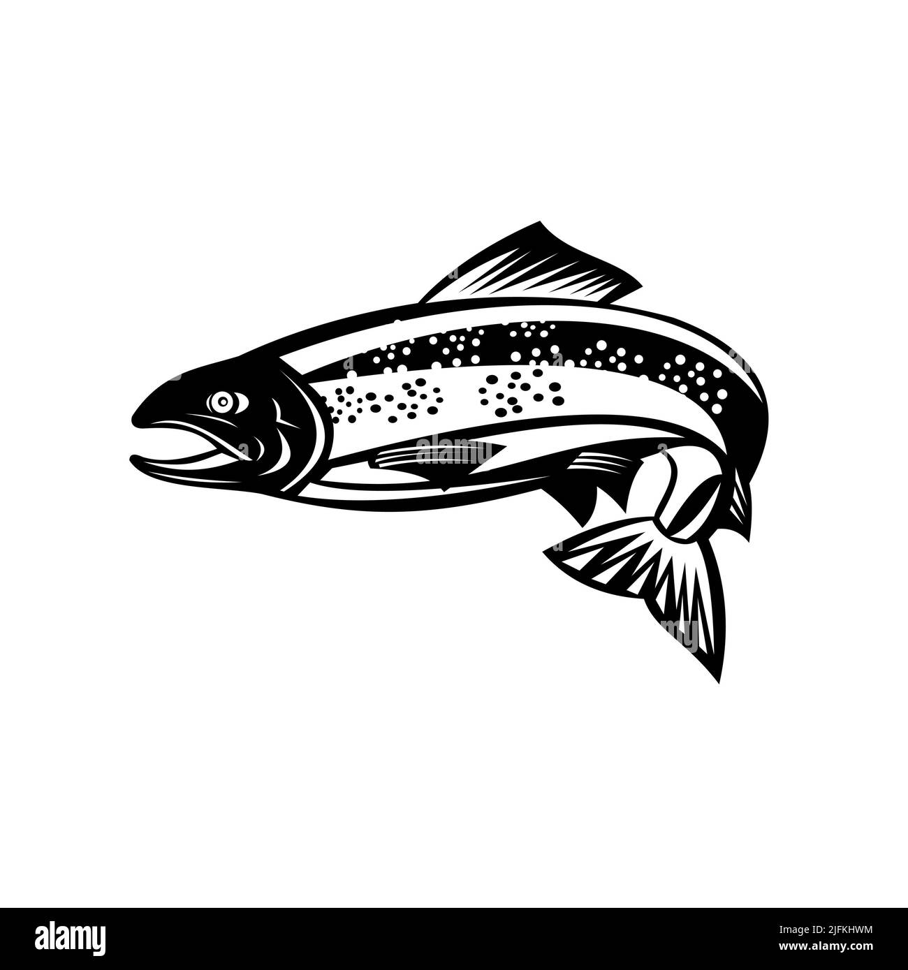 Retro woodcut style illustration of a Brown trout or speckled trout Fish Jumping on isolated