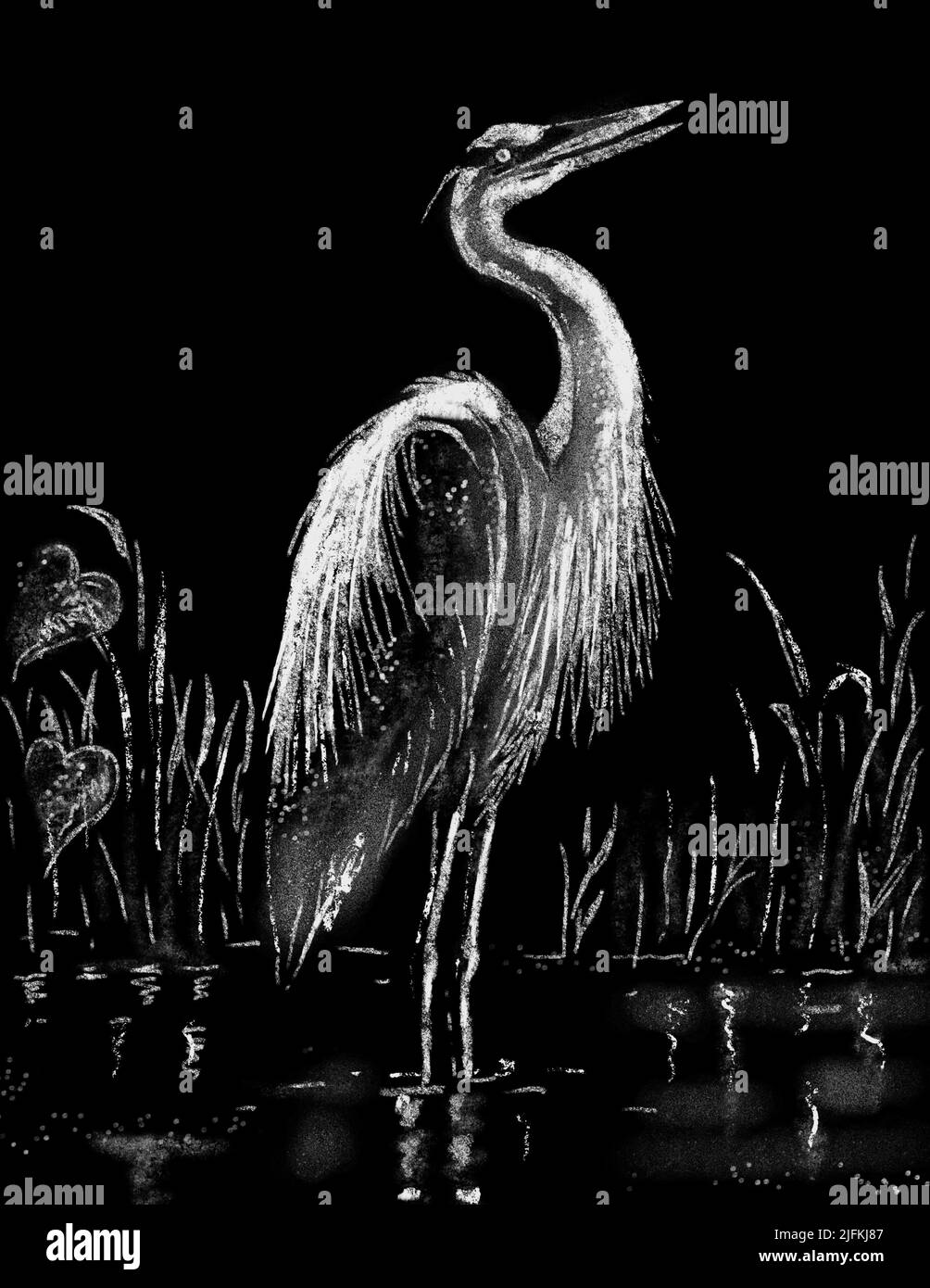 Chalk or pastel art drawing illustration of great blue heron, Ardea herodias, a large wading bird in the heron family Ardeidae, standing open water, Stock Photo