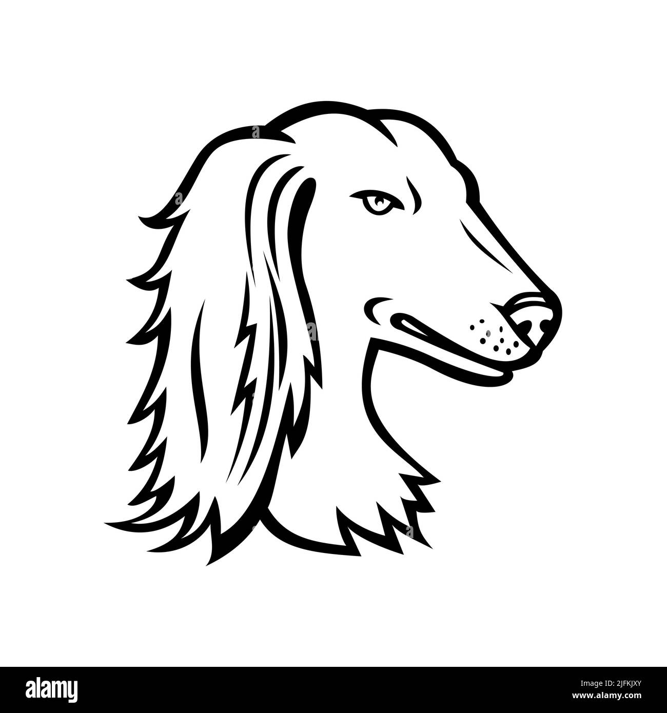 Mascot icon illustration of head of a Saluki, also known as Persian Greyhound or Tazi, a dog breed classed as a sighthound on isolated background in Stock Photo