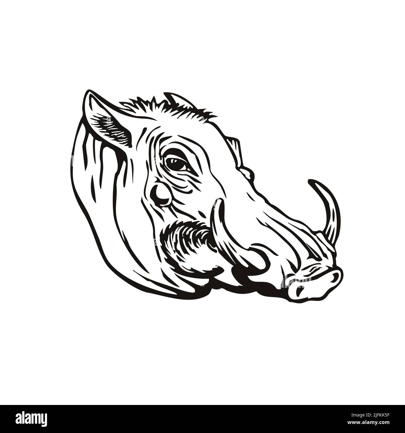 Retro woodcut style illustration of head of a common warthog or Phacochoerus africanus, a wild member of the pig family Suidae found in sub-Saharan Stock Photo