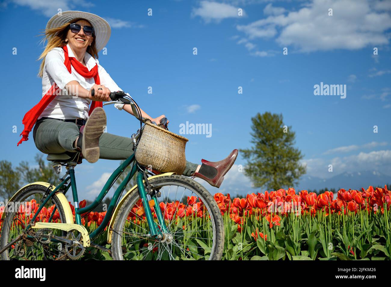 Very happy, very excited caucasian woman riding her old bike by the tulip field. Arms and legs wide open and she shows happiness in British Columbia, Stock Photo