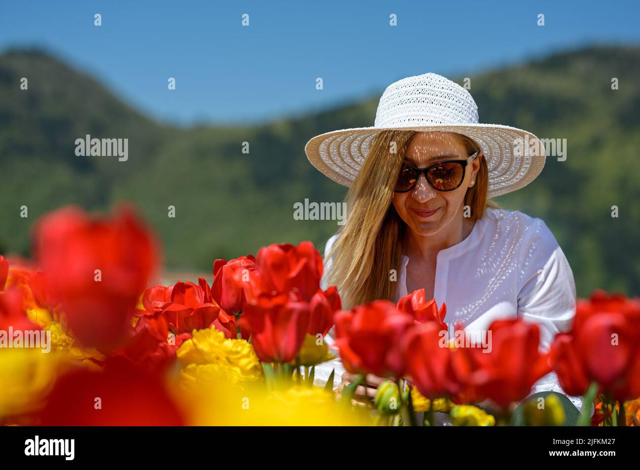 Well dressed middle aged woman wearing white straw hat, sitting between the rows of an amazing tulip plantation, showing love and enjoying the view Stock Photo