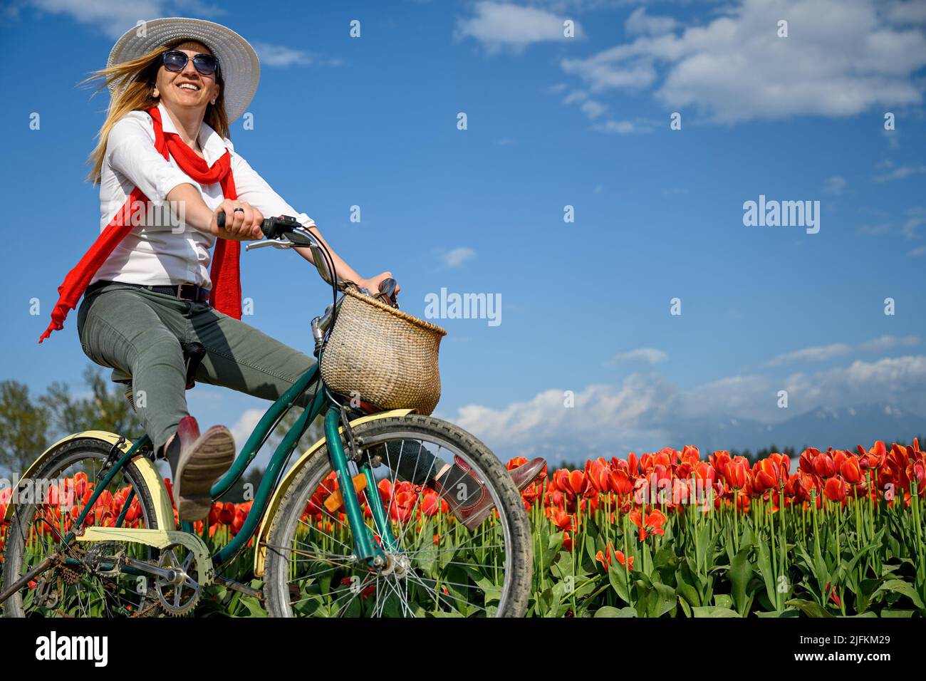 Very happy, very excited caucasian woman riding her old bike by the tulip field. Arms and legs wide open and she shows happiness in British Columbia, Stock Photo