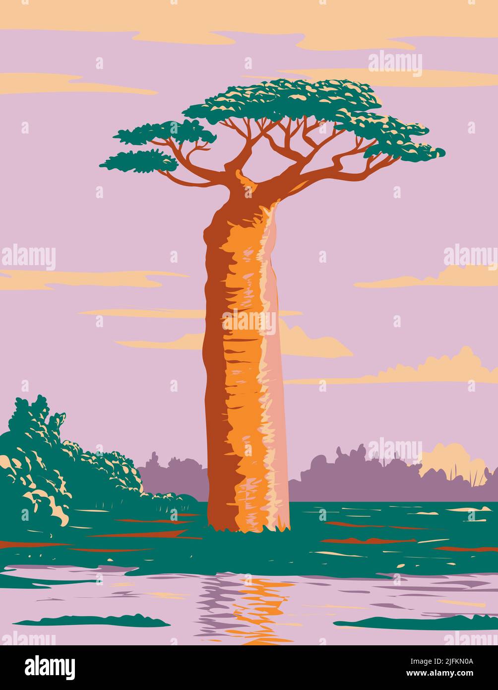 WPA poster art of a Grandidier's baobab or Adansonia grandidieri, the biggest and most famous of Madagascar's species of baobabs endemic to island of Stock Photo