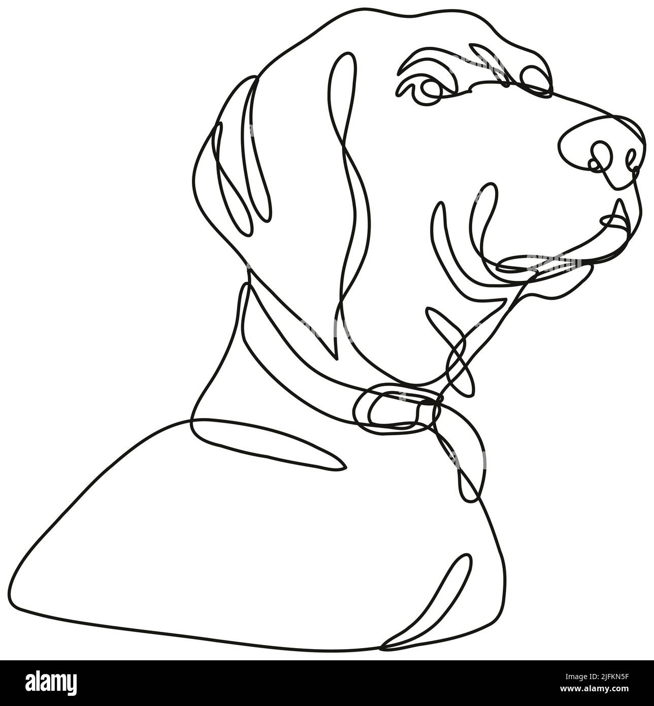 Continuous line drawing illustration of a Labrador retriever dog head