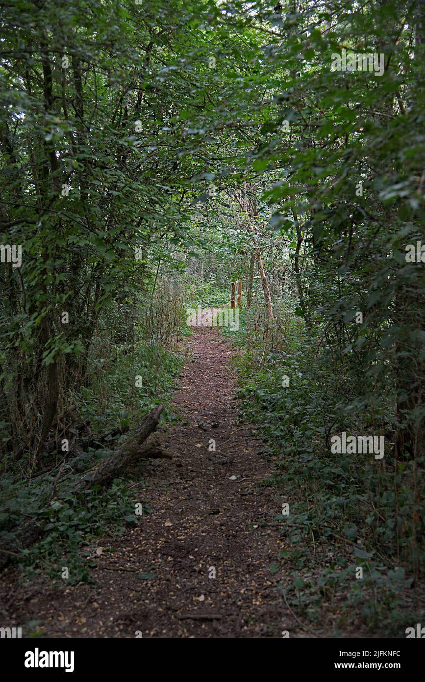 The uncontaminated nature of the Le Bine oasisalberi Stock Photo Alamy