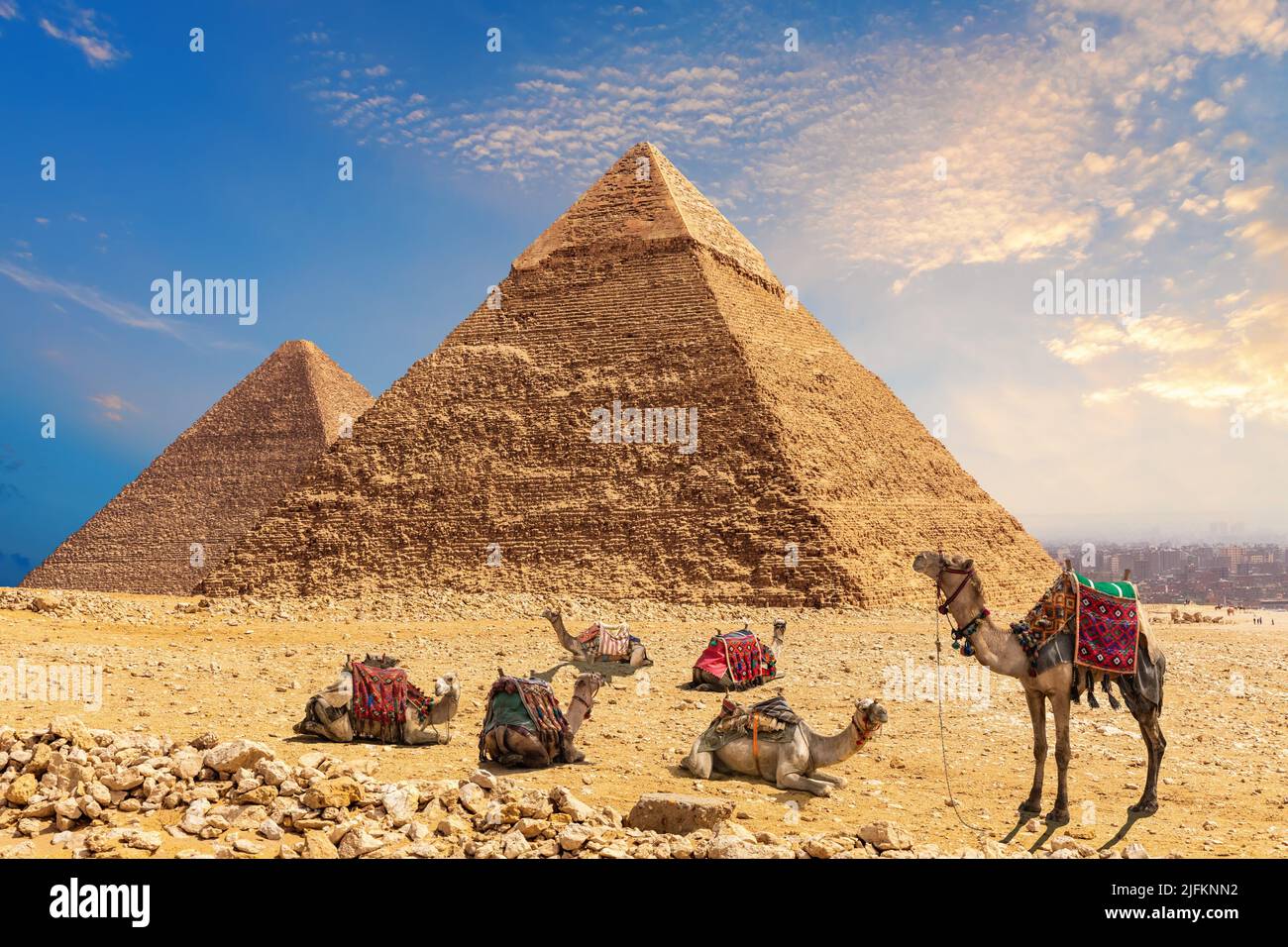 amel caravan resting in the desert by the Pyramid of Chephren and Cheops, Egypt, Giza. Stock Photo
