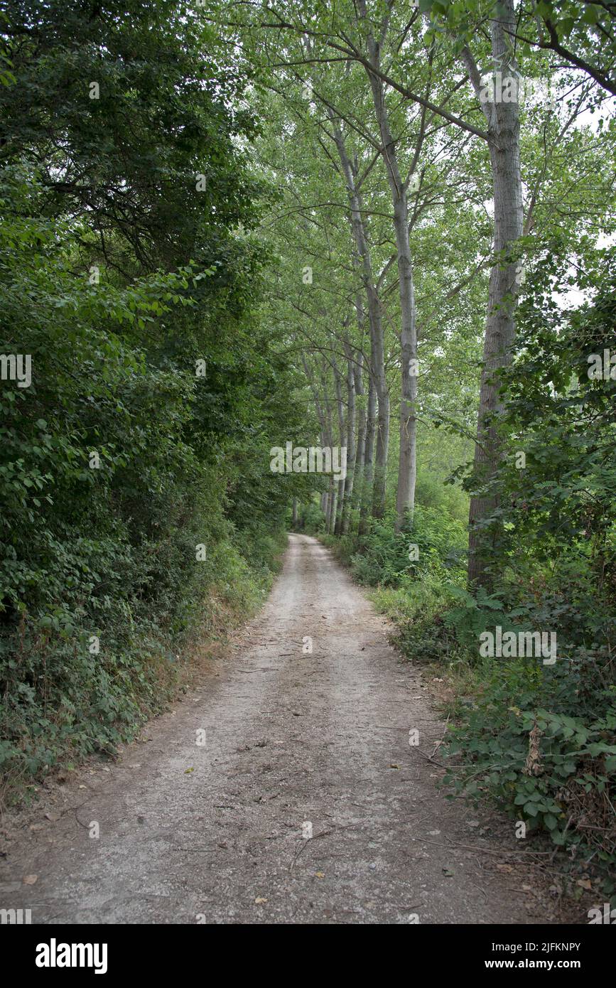The uncontaminated nature of the Le Bine oasisalberi Stock Photo Alamy