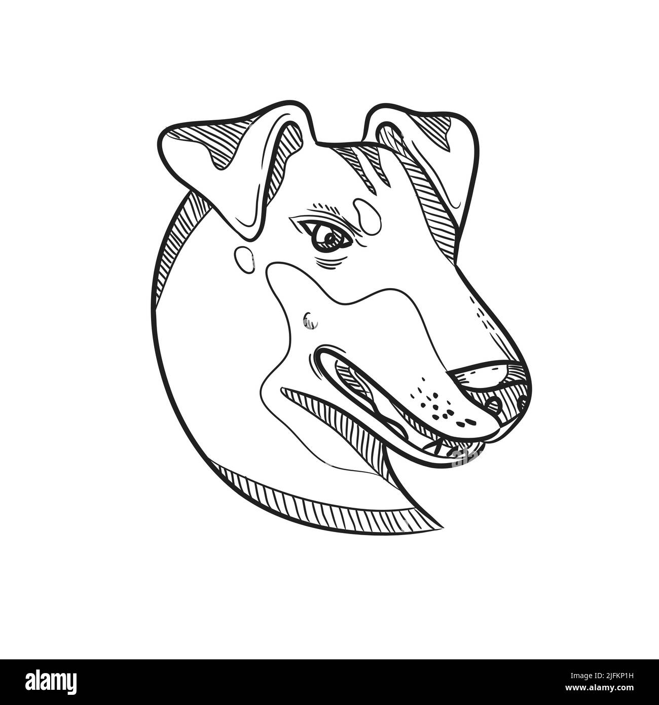 Drawing sketch style illustration of head of a Manchester Terrier, a breed of dog of the smooth-haired terrier type viewed from side on isolated Stock Photo