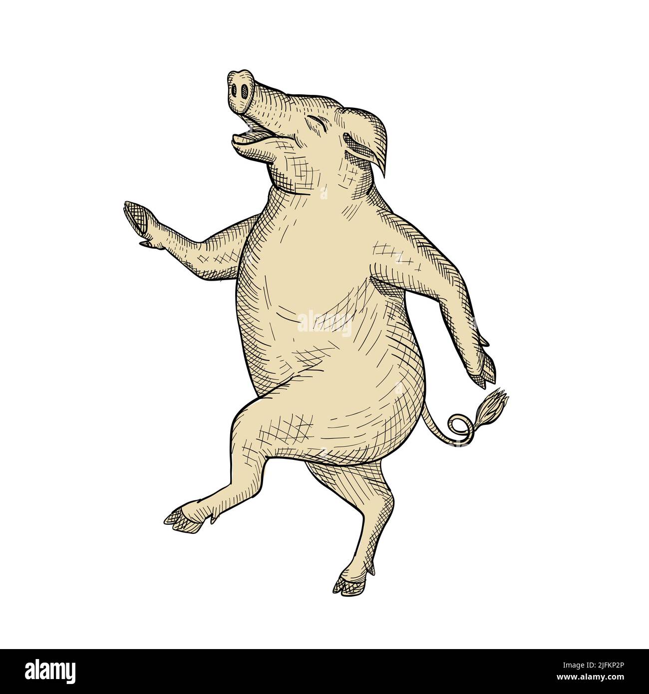 Drawing sketch style illustration of a jolly and happy pig dancing, walking or taking a stride viewed from side on isolated white background. Stock Photo