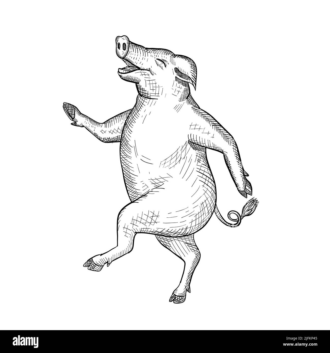 Drawing sketch style illustration of a happy and jolly pig, hog or boar dancing, walking or taking a stride viewed from side on isolated white Stock Photo