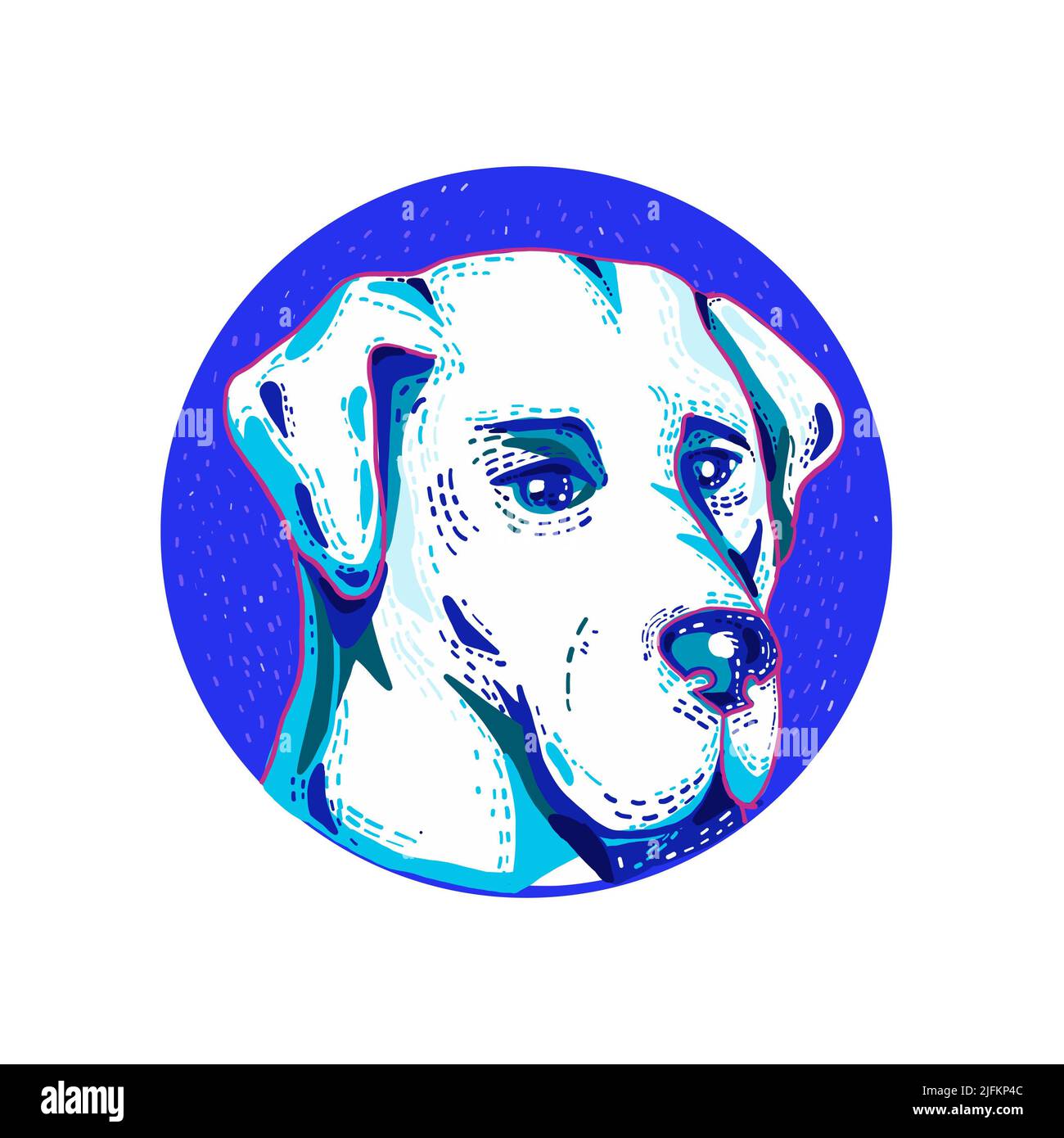 Doodle art illustration of head of a Labrador Retriever or Lab, a type of retriever-gun dog set inside circle done in retro style. Stock Photo