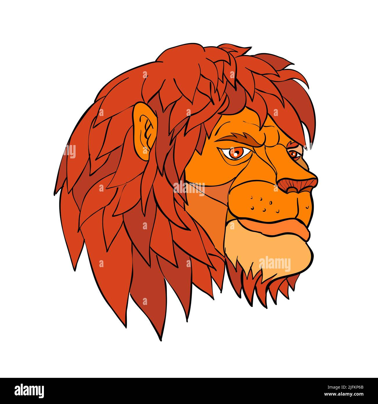 Cartoon style illustration of a head of a lion with full mane ruminating in pensive mood viewed from side on isolated background in color. Stock Photo