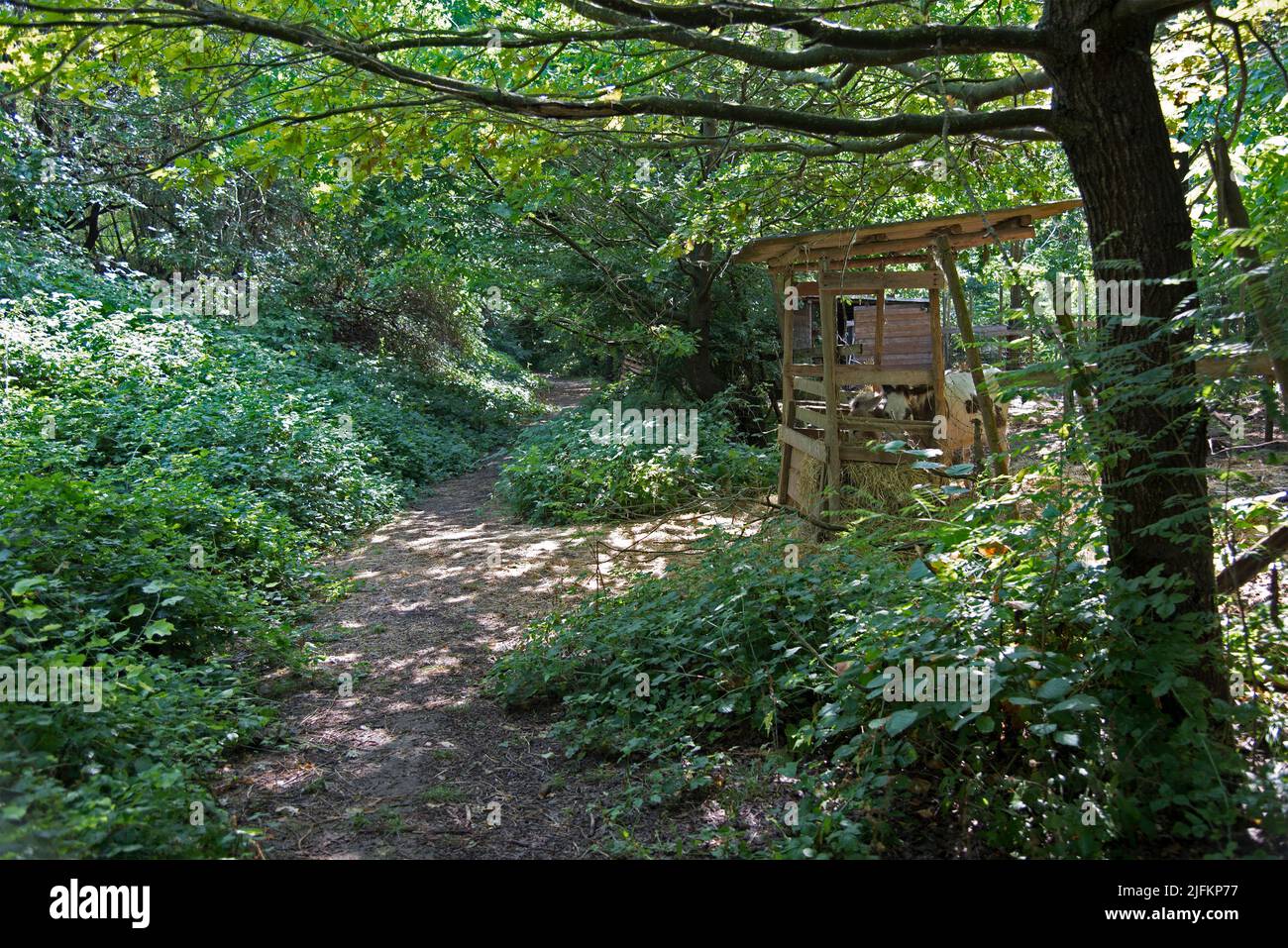 The uncontaminated nature of the Le Bine oasis Stock Photo Alamy