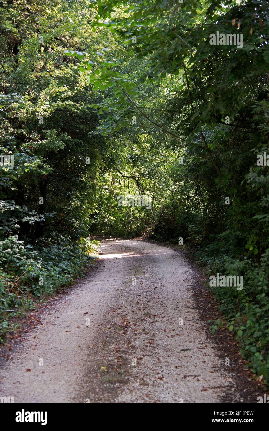 Sentiero natura hi-res stock photography and images - Alamy
