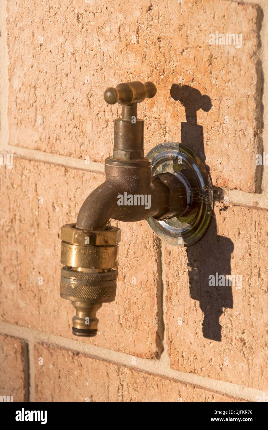 Brass outdoor garden tap, with hose attachment, on brick wall. Strong shadow in low sunlight. Garden in Queensland, Australia. Stock Photo
