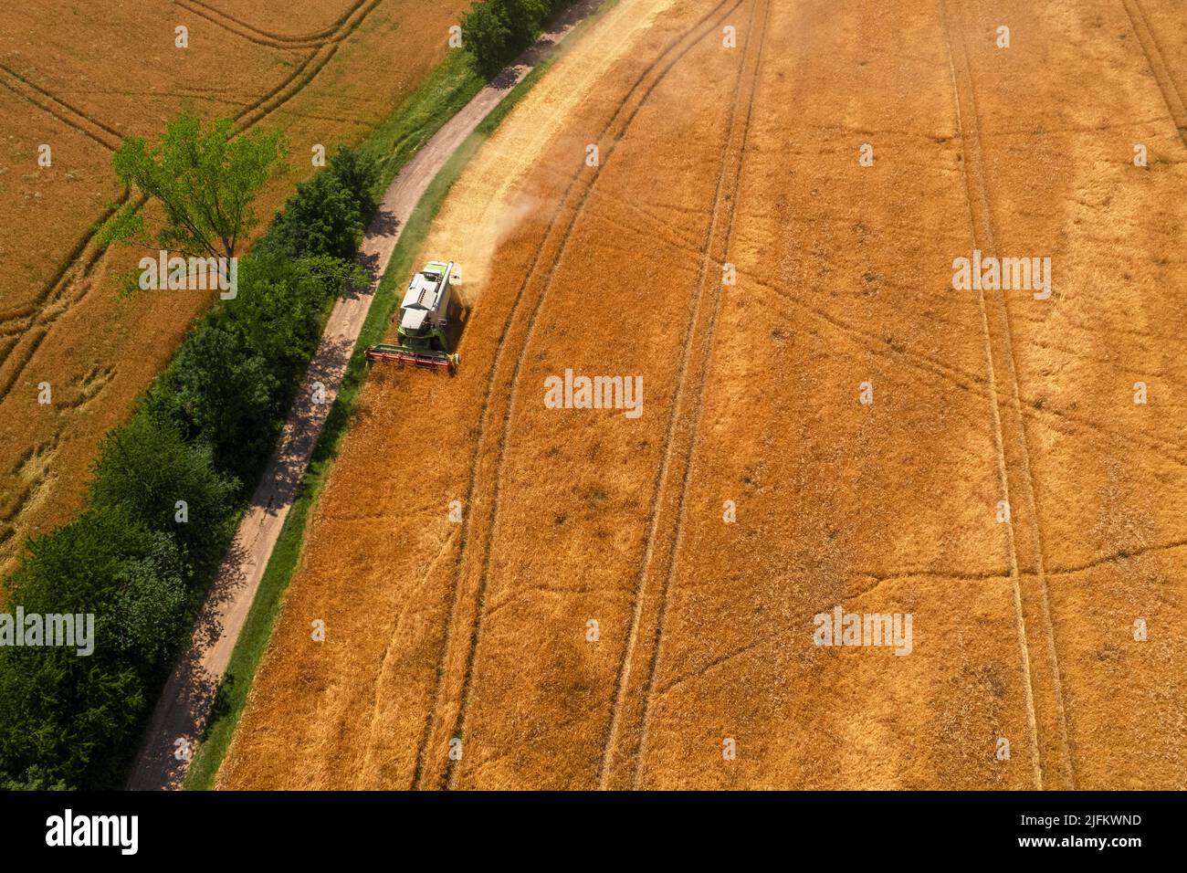 Aerial view of a combine harvester at work during harvest time. Cereal, grain shortage, high trading prices, stockpiling. Agricultural background. Stock Photo