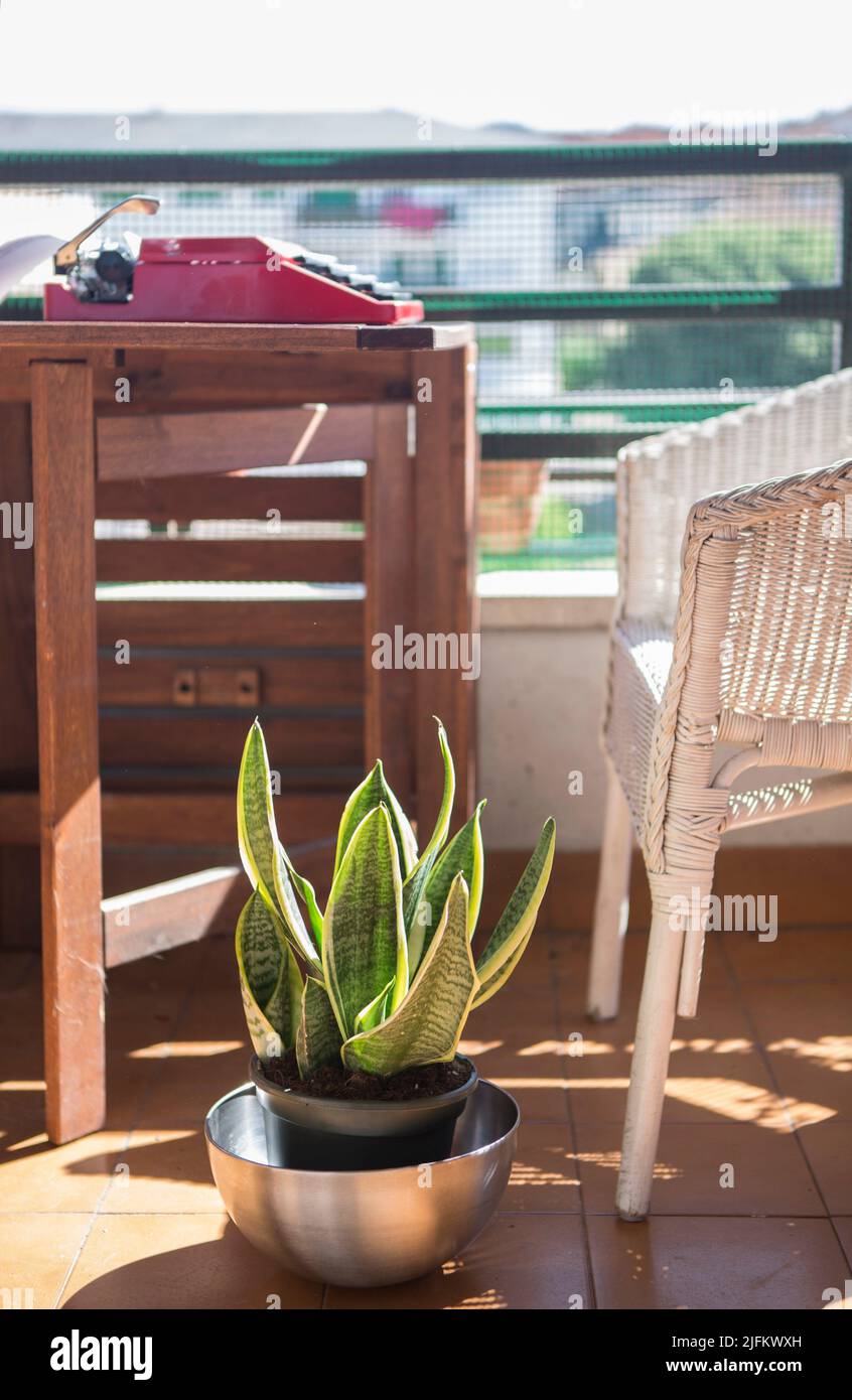 Urban home terrace with 1970s typewriter. Pleasant atmosphere for writing books. Stock Photo