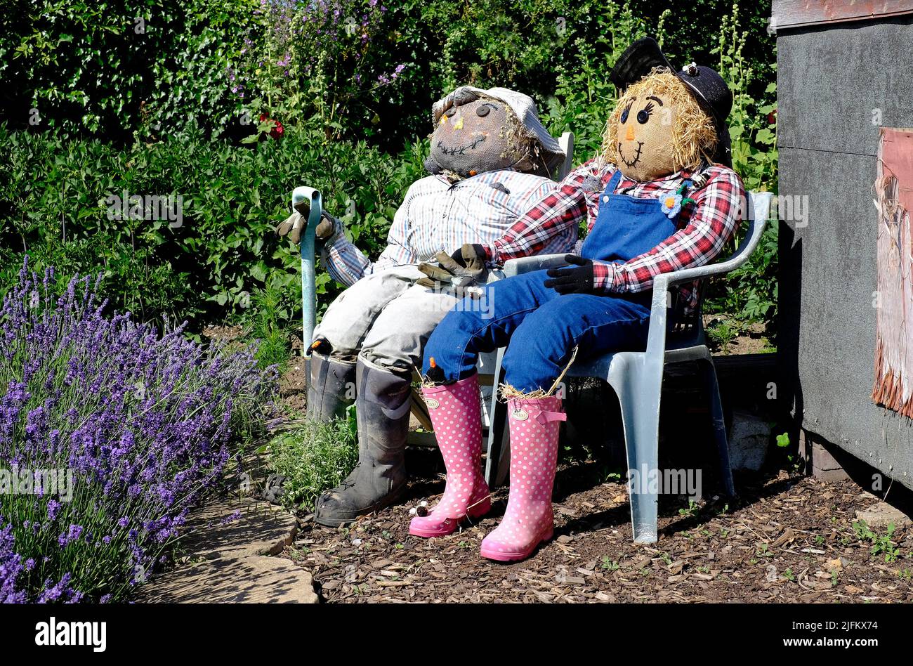 male and female scarecrows in english garden, norfolk, england Stock Photo