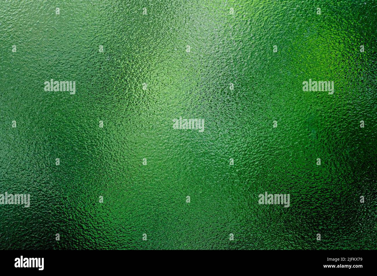 green foliage behind textured frosted glass window Stock Photo