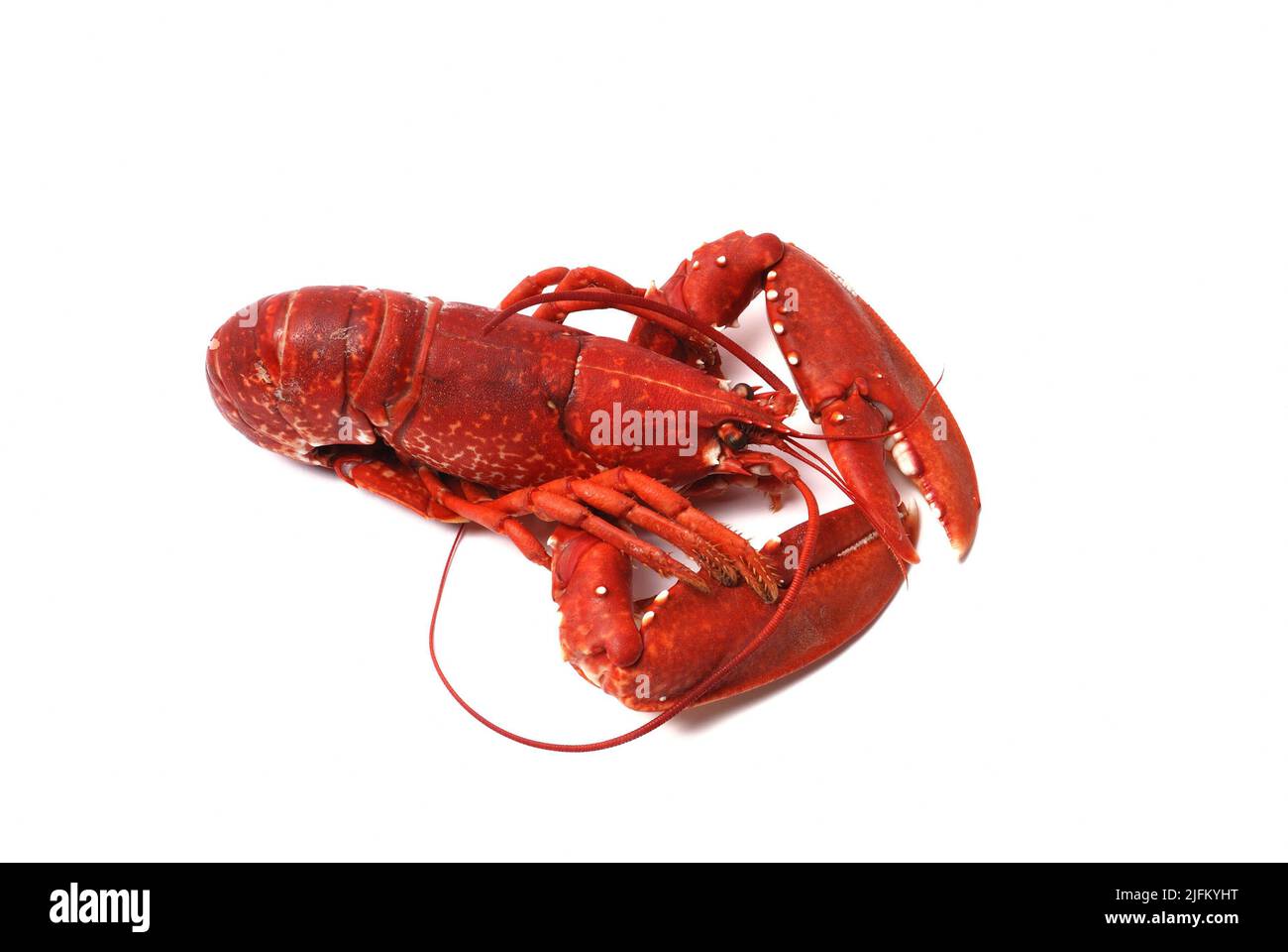 Lobster fishing Cut Out Stock Images & Pictures Alamy