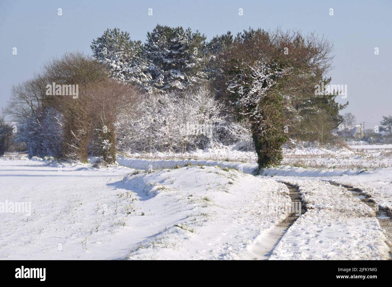 Path under the snow in Brittany Stock Photo Alamy