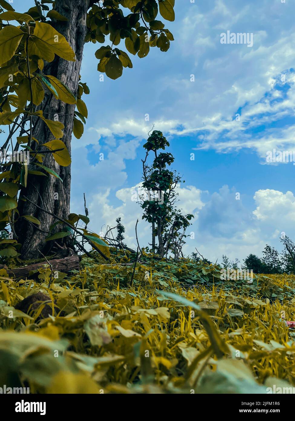 Cloudy sky beautiful natural hi-res stock photography and images - Alamy