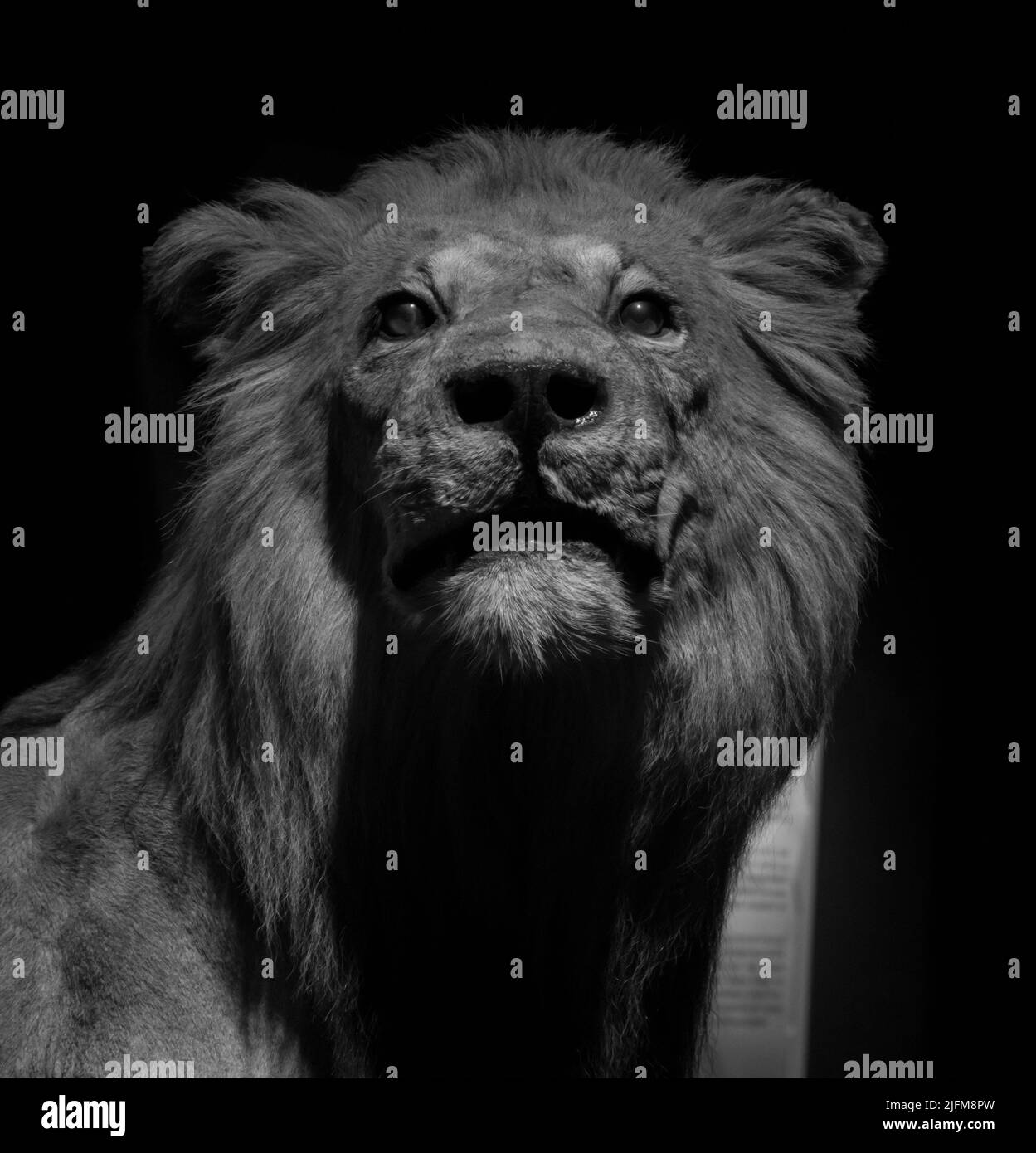 My Image 33