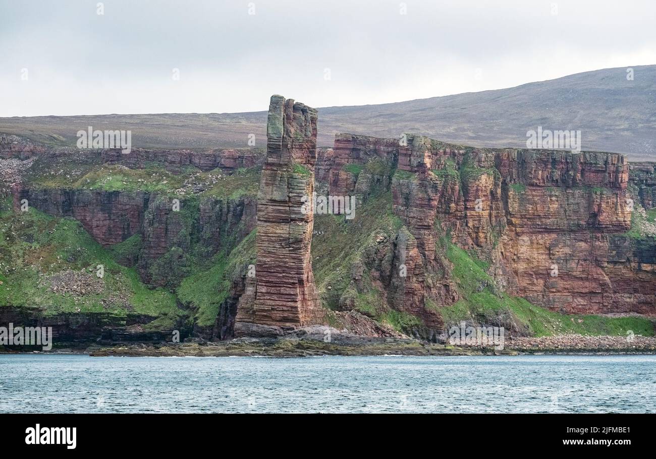 The Old Man of Hoy, red sandstone sea stack on the Island of Hoy, Orkney Islands, Scotland Stock