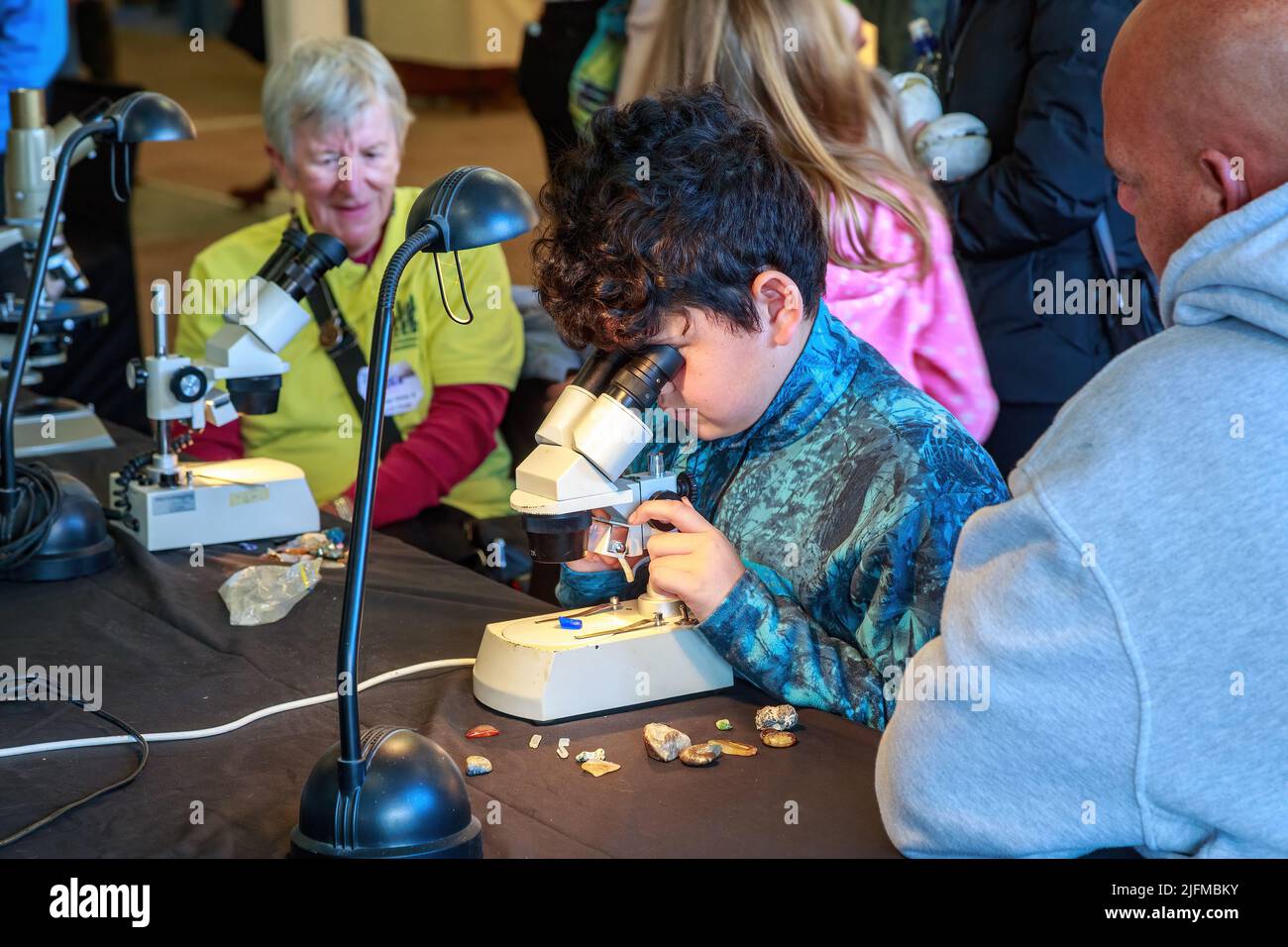 A young boy studying a crystal through a microscope at a fossil and mineral show Stock Photo