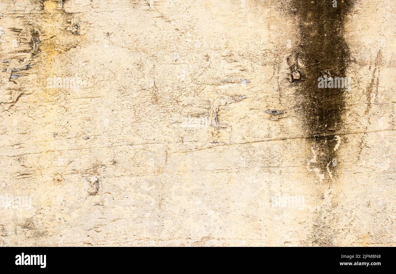 hi res grunge cement texture and old backgrounds for design Stock Photo ...
