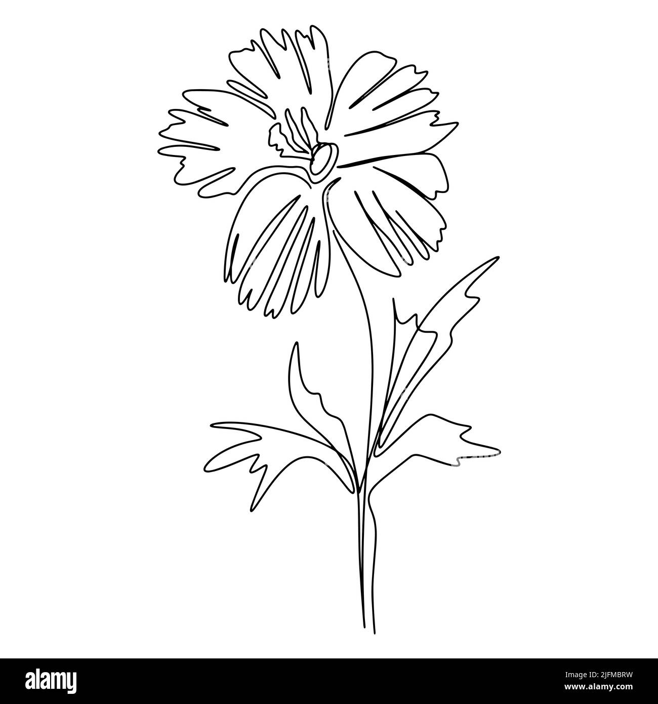 Flower line art isolated vector. Single black outline hand drawn blossom illustration. Botanical natural decoration flower on spruce background Stock Vector