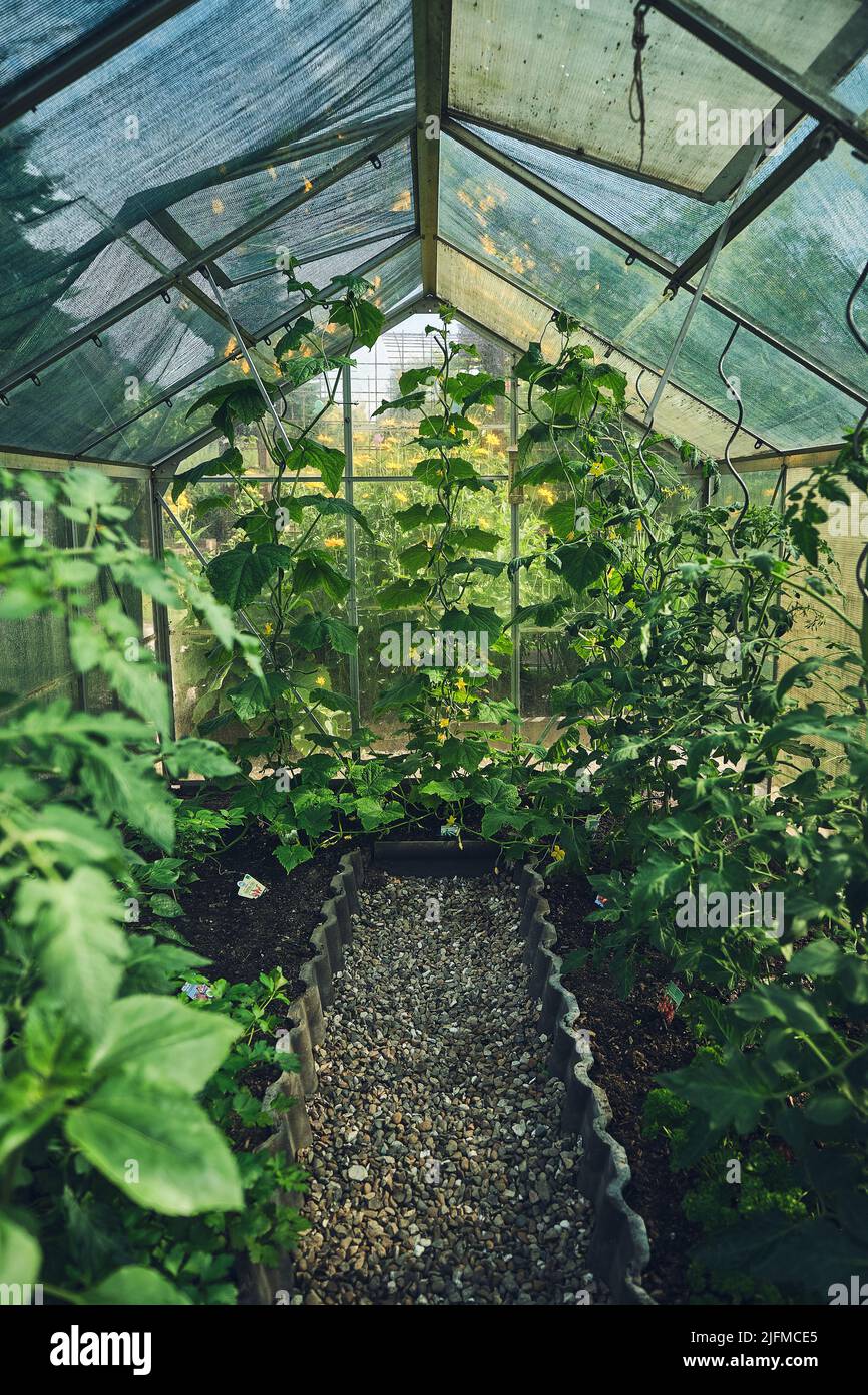 Small greenhouse construction hi-res stock photography and images - Alamy
