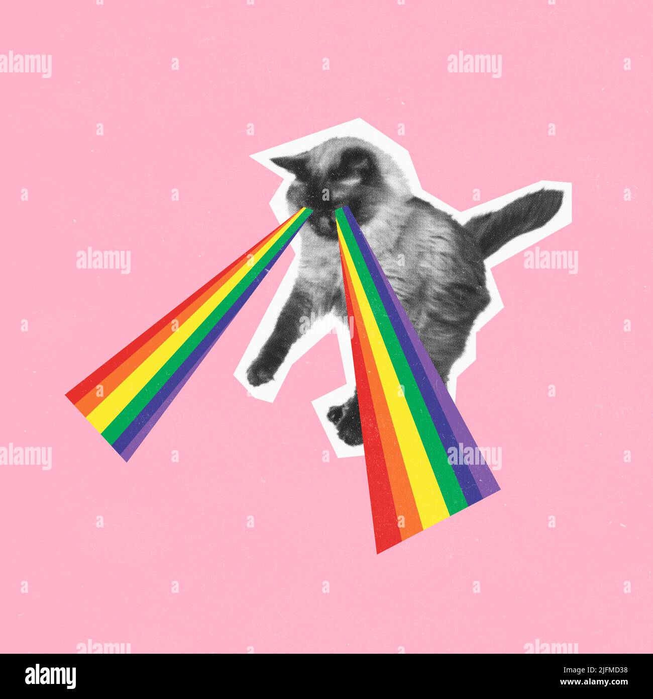 Contemporary art collage. Conceptual image. Cat with rainbow light from  eyes isolated pink background. LGBTQIA support Stock Photo - Alamy