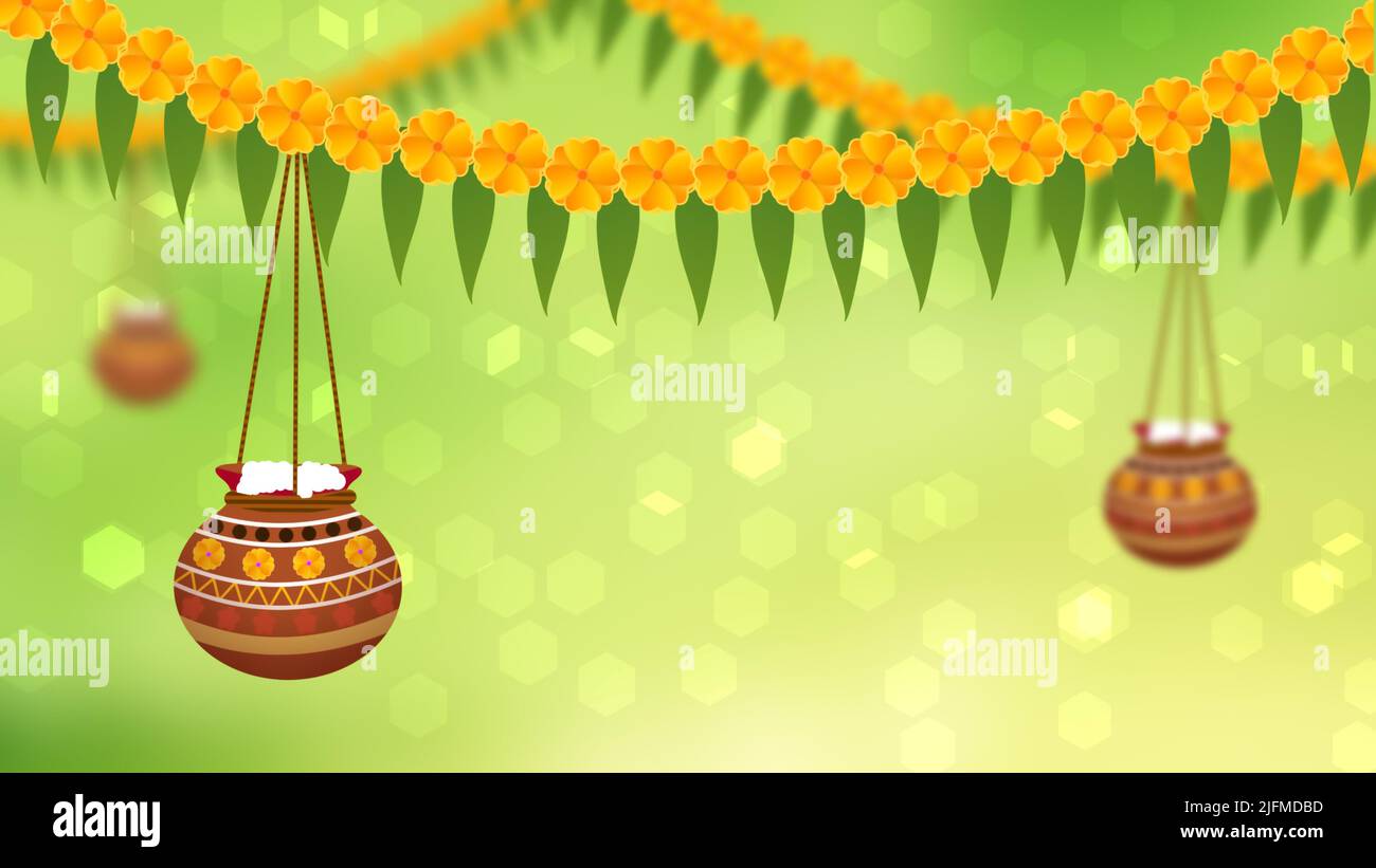 Why Tmi For Assam Holidays: Discover Unmatched Travel Experiences