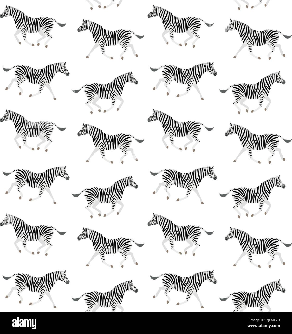 Vector seamless pattern of flat zebra isolated on white background ...