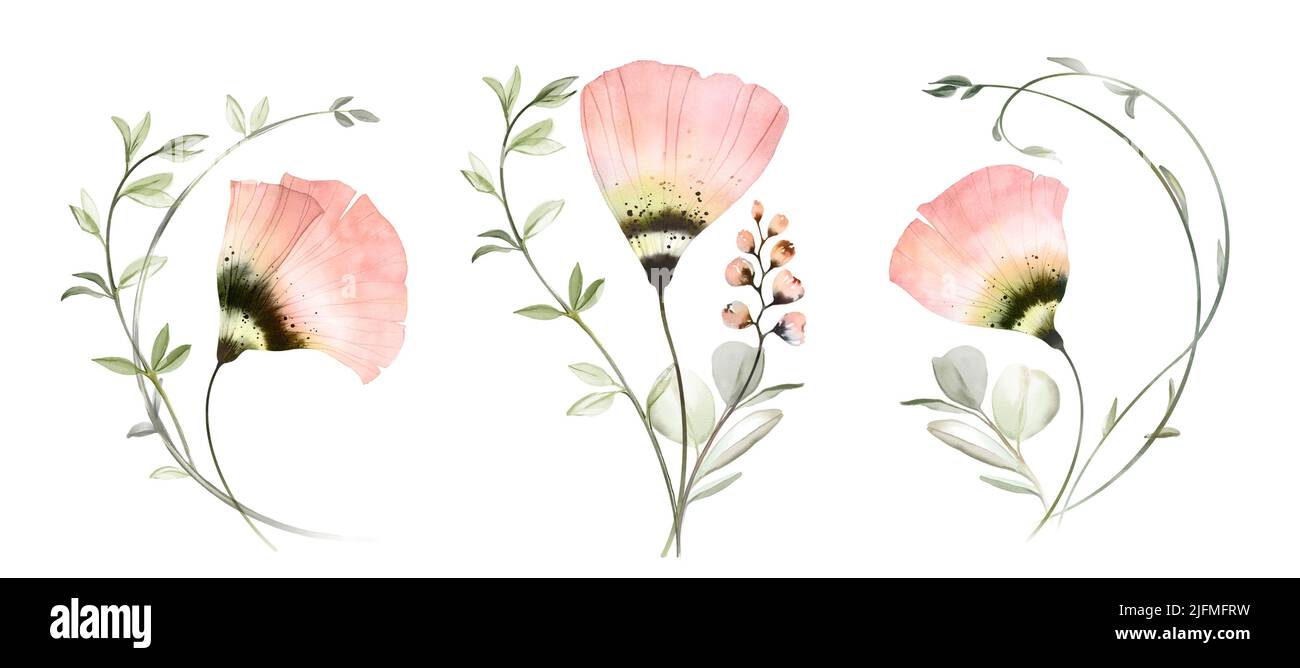 Watercolor set with bouquets. Bright transparent flowers in modern boho style. Pastel peach colour poppies with round eucalyptus branches. Abstract Stock Photo