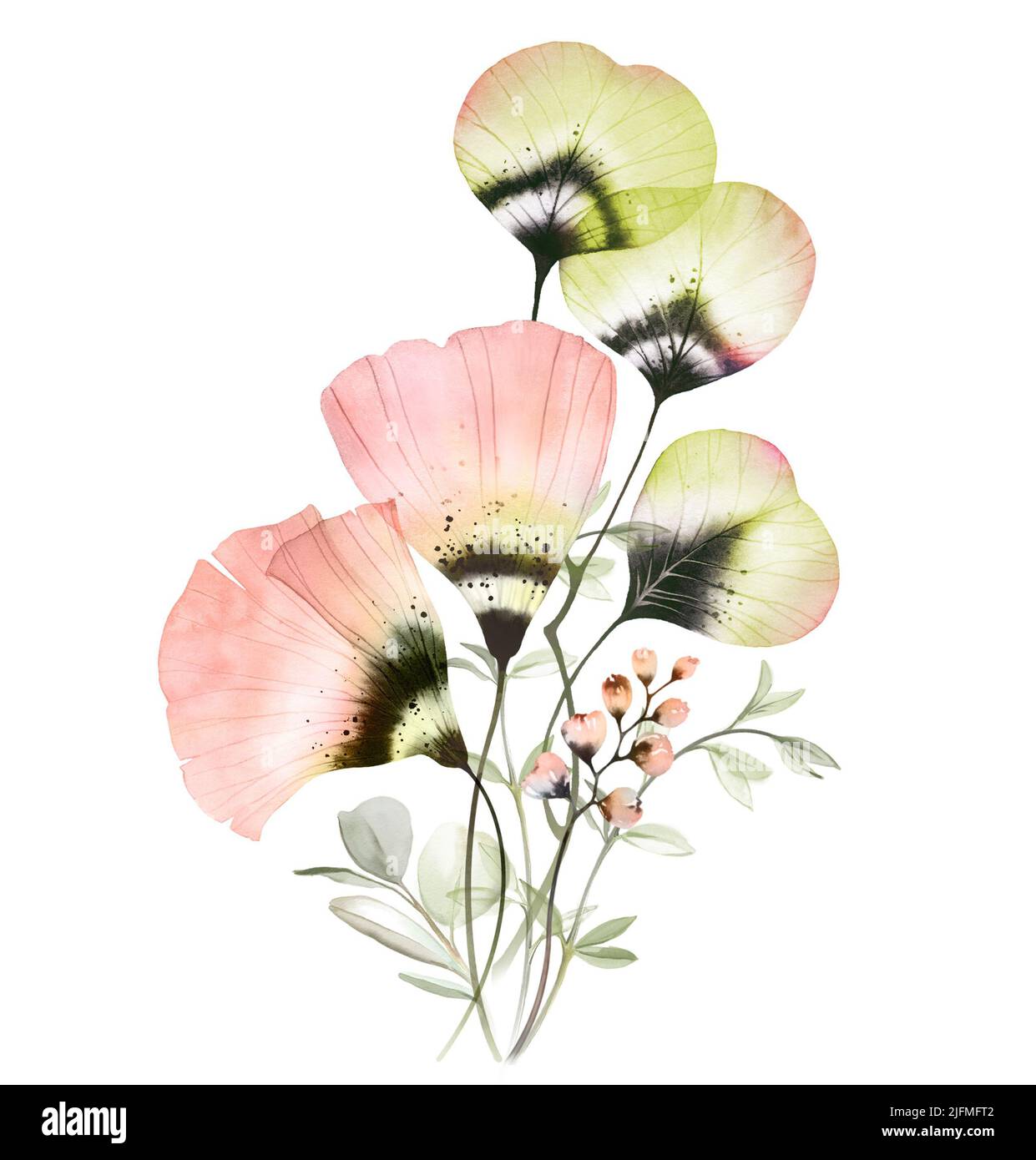 Watercolor abstract flowers and leaves. Vertical floral composition. Pastel color poppies with eucalyptus branches. Blush transparent bouquet in Stock Photo