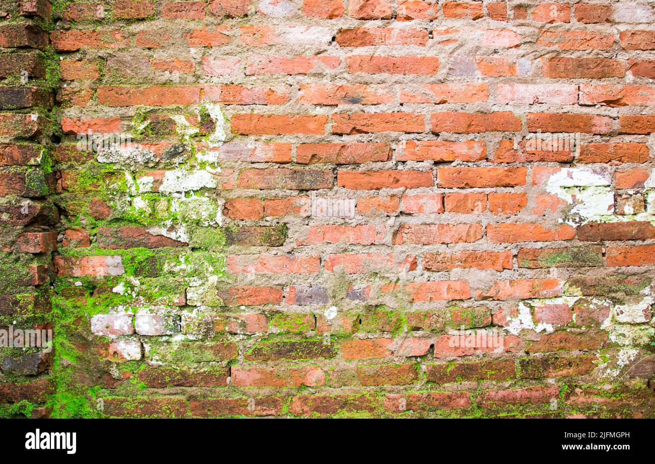 Hi res grunge brick wall background and texture for any design Stock ...