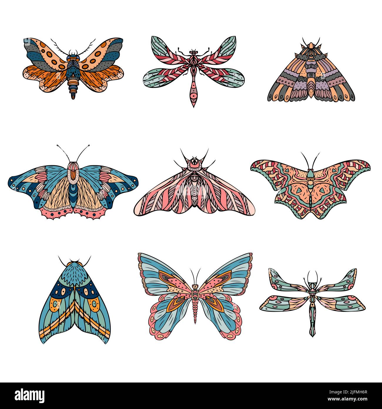 Set of vector night butterflies, dragonfly, moths. Hand drawn illustration Stock Vector