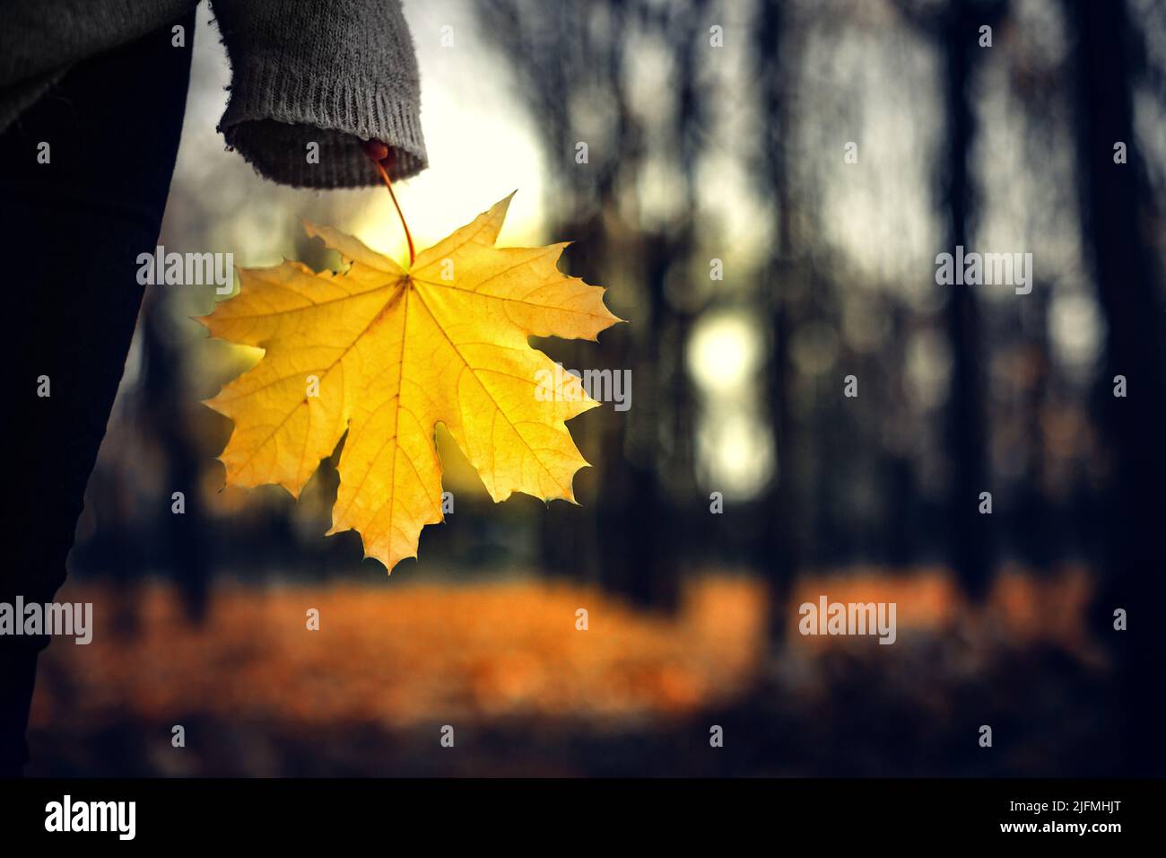 Fall Loneliness Seasonal depression hi-res stock photography and images - Alamy