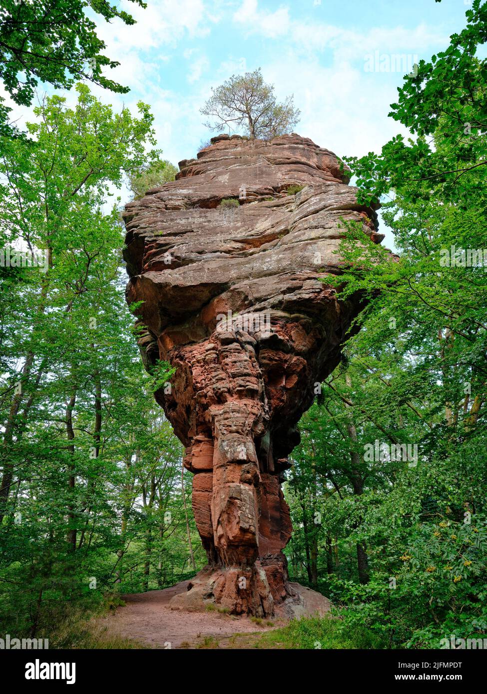 Sandstone hoodoo in the northern Vosges mountain. The Erbsenfelsen in Éguelshardt, Moselle, Grand Est, France. Stock Photo